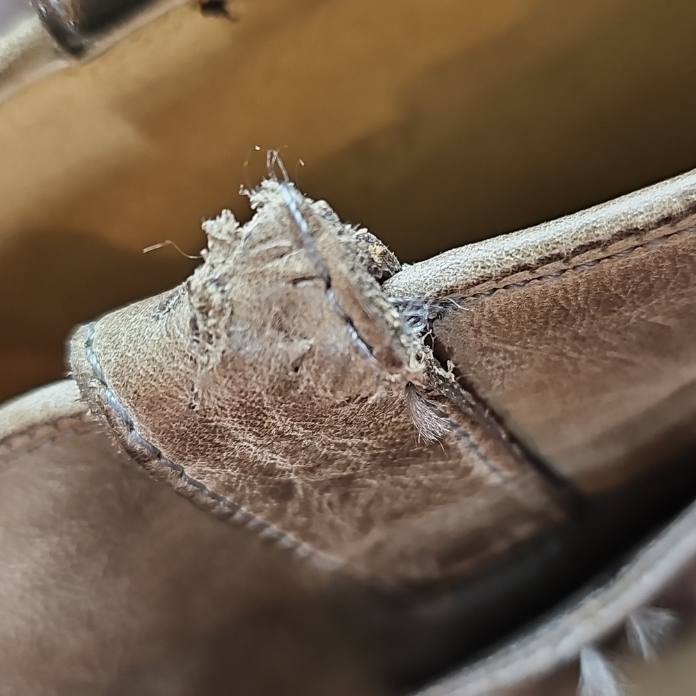 FRYE PAIGE TAUPE LEATHER TALL RIDING BOOTS - Picture 9 of 15